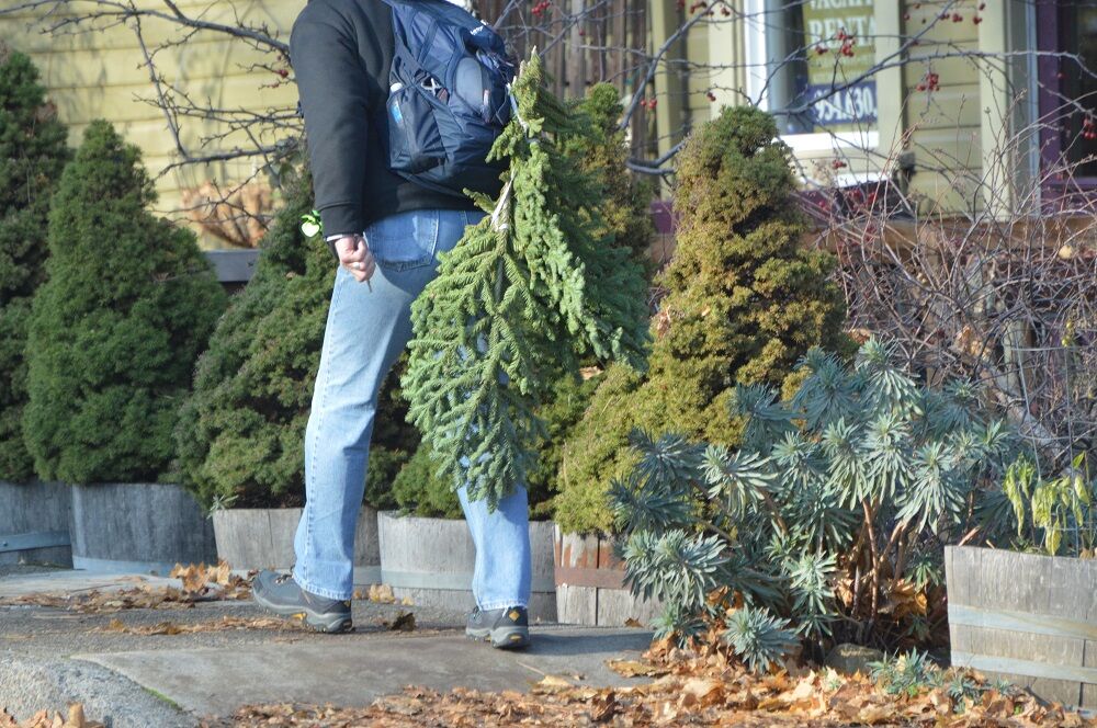 02-10 the porch man with swagger.JPG
